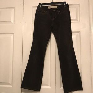 Ann Taylor Loft Dark Brown corduroy pants